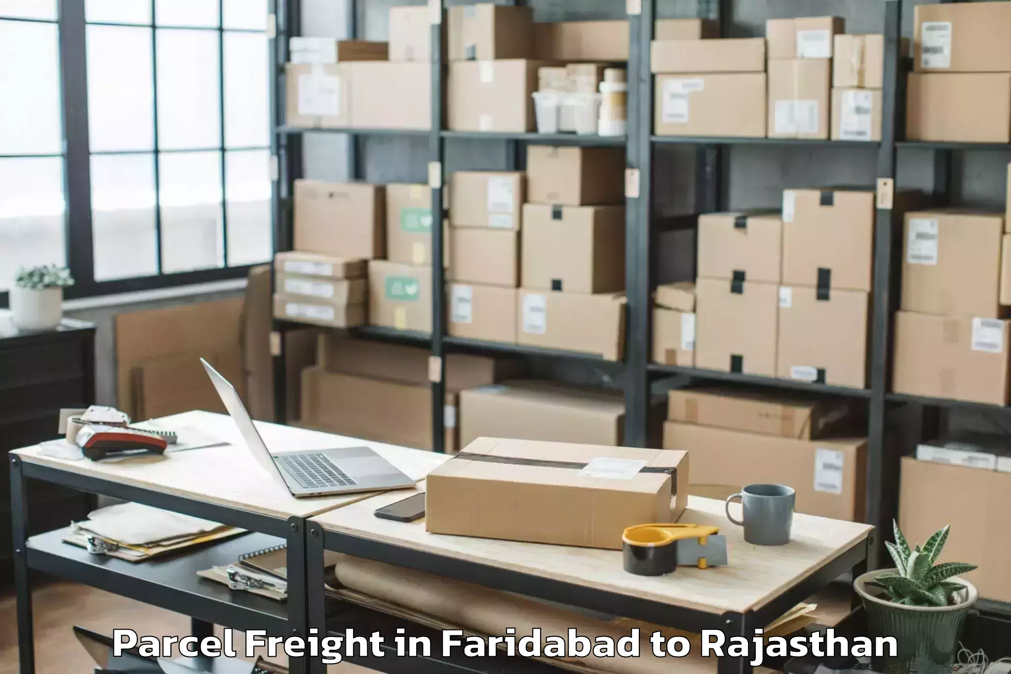 Professional Faridabad to Behror Parcel Freight